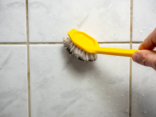 Best Residential Mold Remediation in Douglas, AL